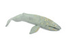 Grey Whale, Marine Mammal, Museum Quality, Hand Painted, Educational, Rubber Animal, Realistic, Diorama Model, Toy Figure, Kids, 13 Inches. 