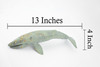 Grey Whale, Marine Mammal, Museum Quality, Hand Painted, Educational, Rubber Animal, Realistic, Diorama Model, Toy Figure, Kids, 13 Inches. 