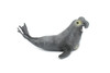 Elephant Seal, Pinnipeds, Marine Mammal, Museum Quality, Hand Painted, Educational, Rubber Fish, Diorama Model, Realistic Toy Figure, Kids,  7 Inches.