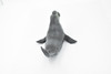 Elephant Seal, Pinnipeds, Marine Mammal, Museum Quality, Hand Painted, Educational, Rubber Fish, Diorama Model, Realistic Toy Figure, Kids,  7 Inches.