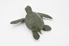 Turtle, Green Sea Turtle, Museum Quality, Hand Painted, Rubber Reptile, Realistic Toy Figure, Model, Replica, Kids, Educational, Gift,     5"     CH376 BB141