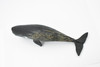 Whale, Sperm Whale, Cetacean, Marine Mammal, Museum Quality, Hand Painted, Rubber, Toy Figure, Model, Educational, Gift,      9"     CH377 BB141