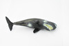 Whale, Sperm Whale, Cetacean, Marine Mammal, Museum Quality, Hand Painted, Rubber, Toy Figure, Model, Educational, Gift,      9"     CH377 BB141