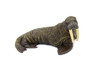 Walrus, Pinniped, Marine Mammal, Museum Quality, Educational, Hand Painted, Rubber, Realistic Toy Figure, Diorama Model, Replica, Kids,  5 Inches. 