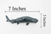 Great White, G.W. Shark, Museum Quality, Hand Painted, Educational, Rubber Fish, Diorama Model, Replica, Realistic Toy Figure, Kids,  7 Inches.