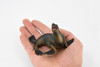 Sea Lion, Pinnipeds, Museum Quality, Hand Painted, Rubber Seal Family, Realistic Toy Figure, Model, Replica, Kids, Educational, Gift,        5"       CH385 BB143