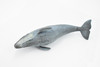 Grey Whale, Marine Mammal, Museum Quality, Hand Painted, Educational, Rubber Animal, Realistic, Diorama Model, Toy Figure, Kids, 10 Inches. 