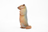 Marmot, Ground Squirrels, Rodent, Museum Quality, Hand Painted, Rubber Mammal, Realistic Toy Figure, Replica, Kids, Educational,  4 1/2 Inches. 