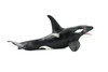 Whale, Orca, Killer Whale, Marine Mammal, Museum Quality, Hand Painted, Rubber Animal, Realistic Toy Figure, Model, Educational, Gift,       8"     CH394 BB147