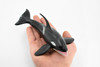 Orca, Killer Whale, Marine Mammal, Museum Quality, Hand Painted, Educational, Rubber Animal, Realistic, Diorama Model, Toy Figure, Kids,  8 Inches. 