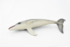 Dolphin, Porpoise, Marine Mammal, Museum Quality, Hand Painted, Realistic Toy Figure, Model, Educational, Gift,       8"     CH395 BB147