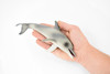 Dolphin, Porpoise, Marine Mammal, Museum Quality, Hand Painted, Realistic Toy Figure, Model, Educational, Gift,       8"     CH395 BB147