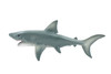 Megalodon Shark, Big Tooth Shark, Museum Quality, Hand Painted, Educational, Rubber Fish, Diorama Model, Replica, Realistic Toy Figure, Kids,  9 Inches.