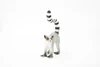Ring-tailed Lemur, Madagascar, Museum Quality, Hand Painted, Rubber Primate, Realistic Toy Figure, Diorama Model, Replica, Kids, Educational,  3 Inches. 