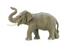 Asian Bull Elephant, Museum Quality, Hand Painted, Educational, Rubber Animal, Realistic Toy Figure, Diorama Model, Kids,  7 Inches.