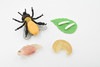 Bee, Life Cycle of a Bee, 4 Stages, Museum Quality, Hand Painted, Rubber Insect, Figure, Model, Realistic, Educational, Gift,       3"    CH482 BB150