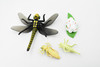 Life Cycle of a  Dragon Fly, 4 Stages, Museum Quality, Rubber Insect, Hand Painted, Realistic Toy Figure, Diorama Model, Kids, Educational, 4 Inches.
