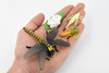 Life Cycle of a  Dragon Fly, 4 Stages, Museum Quality, Rubber Insect, Hand Painted, Realistic Toy Figure, Diorama Model, Kids, Educational, 4 Inches.