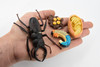 Beetle, Life Cycle of a Stag Beetle, 4 Stages, Museum Quality, Hand Painted, Rubber Insect, Realistic Toy Figure, Diorama Model, Kids, Educational,  3 Inches.
