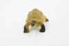 Tortoise, Galápagos tortoise, Turtle, Plastic Reptile, Educational, Realistic, Hand Painted, Figure, Lifelike Model, Figurine, Replica, Gift,     2"    F4441 B55