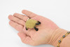 Tortoise, Galápagos tortoise, Turtle, Plastic Reptile, Educational, Realistic, Hand Painted, Figure, Lifelike Model, Figurine, Replica, Gift,     2"    F4441 B55