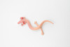 Salamander, Cave, Rubber Amphibian, Educational, Realistic, Hand Painted, Figure, Lifelike Model, Figurine, Replica, Gift,     3 1/2"      F769 B625