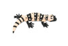 Lizard, Gila Monster, Desert Lizard, Reptile, Rubber Toy, Realistic, Rainforest, Figure, Model, Replica, Kids, Educational, Gift,      3"      F4066 B135