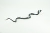 Cobra, Black and White Snake, Rubber Reptile, Educational, Realistic Hand Painted, Figure, Lifelike Model, Figurine, Replica, Gift,      9 Inches     F3594 B363