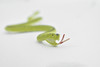 Snake, Green racer snake, Rubber Reptile, Educational, Realistic Hand Painted, Figure, Lifelike, Model, Figurine, Replica, Gift, Toy,     10"  F3599 B363