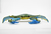 Crab, Blue Crab, Museum Quality, Rubber, Crustaceans, Educational, Realistic, Hand Painted, Figure, Lifelike Figurine, Replica, Gift,     7"      F4071 B135