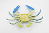 Crab, Blue Crab, Museum Quality, Rubber, Crustaceans, Educational, Realistic, Hand Painted, Figure, Lifelike Figurine, Replica, Gift,     7"      F4071 B135