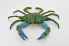 Crab, Blue Crab, Museum Quality, Rubber, Crustaceans, Educational, Realistic, Hand Painted, Figure, Lifelike Figurine, Replica, Gift,     7"      F4071 B135