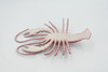 Lobster, Crayfish, Crawdad Design, Red, Museum Quality, Rubber Crustaceans, Educational, Figure, Lifelike, Model, Replica, Gift,     4"     F0023 B22