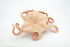 Octopus, Octopuses, Museum Quality, Soft Rubber, Octopodes, Educational, Realistic Hand Painted, Figure, Lifelike Figurine, Replica, Gift,      8"      F1767 B2