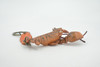 Lobster, Key Chain, Leather, Lobster, Marine Crustaceans, Brown, Hand Made, Keychain, Thailand, Key Fob, Keys, Lifelike Model, Gift,     3 1/2"     THL02 BB69