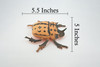Beetle, Horned Rhino Beetle, Dynastinae, Rubber Insect, Educational, Toy, Kids, Realistic Figure, Lifelike Model, Figurine, Replica, Gift, 
