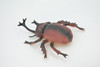 Beetle, Rhinoceros, Horned Stag Beetle, Dynastinae, Rubber Insect, Educational, Toy, Kids, Realistic Figure, Lifelike Model, Figurine, Replica, Gift,     7"     ABC06 B262