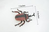 Beetle, Rhinoceros, Horned Stag Beetle, Dynastinae, Rubber Insect, Educational, Toy, Kids, Realistic Figure, Lifelike Model, Figurine, Replica, Gift