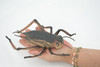Cricket, True Crickets, Rubber Insect, Educational, Toy, Kids, Realistic Figure, Lifelike Model, Figurine, Replica, Gift,      8"     ABC07 B262