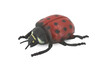 Ladybug, Beetle, Coccinellidae, Lady bug, Hand Painted, Rubber Insect, Educational, Toy, Kids, Realistic Figure, Lifelike Model, Figurine, Replica, Gift