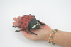 Ladybug, Beetle, Coccinellidae, Lady bug, Hand Painted, Rubber Insect, Educational, Toy, Kids, Realistic Figure, Lifelike Model, Figurine, Replica, Gift