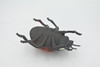 Ladybug, Beetle, Coccinellidae, Lady bug, Hand Painted, Rubber Insect, Educational, Toy, Kids, Realistic Figure, Lifelike Model, Figurine, Replica, Gift,    5"   ABC08 B262