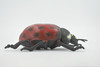 Ladybug, Beetle, Coccinellidae, Lady bug, Rubber Insect, Educational, Toy, Kids, Realistic Figure, Lifelike Model, Figurine, Replica, Gift,    5"   ABC08 B262