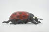 Ladybug, Beetle, Coccinellidae, Lady bug, Hand Painted, Rubber Insect, Educational, Toy, Kids, Realistic Figure, Lifelike Model, Figurine, Replica, Gift,    5"   ABC08 B262