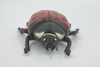 Ladybug, Beetle, Coccinellidae, Lady bug, Hand Painted, Rubber Insect, Educational, Toy, Kids, Realistic Figure, Lifelike Model, Figurine, Replica, Gift,    5"   ABC08 B262