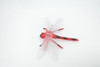 Dragon Fly, Red-veined Darter Dragonfly, Rubber Insect, Educational, Toy, Kids, Realistic Figure, Lifelike Model, Figurine, Replica, Gift,      5"    ABC13 B263