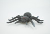 Spider, Tarantula, Theraphosidae, Solid Rubber Arachnids, Educational, Toy, Kids, Realistic Figure, Lifelike Model, Figurine, Replica, Gift,      4"     ABC16 B263