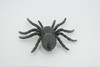 Spider, Tarantula, Theraphosidae, Solid Rubber Arachnids, Educational, Toy, Kids, Realistic Figure, Lifelike Model, Figurine, Replica, Gift,      4"     ABC16 B263