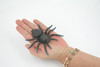 Spider, Tarantula, Theraphosidae, Solid Rubber Arachnids, Educational, Toy, Kids, Realistic Figure, Lifelike Model, Figurine, Replica, Gift,