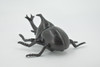 Beetle, Rhinoceros, Horned Stag Beetle, Dynastinae, Rubber Insect, Educational, Toy, Kids, Realistic Figure, Lifelike Model, Figurine, Replica, Gift,     5"     ABC17 B263